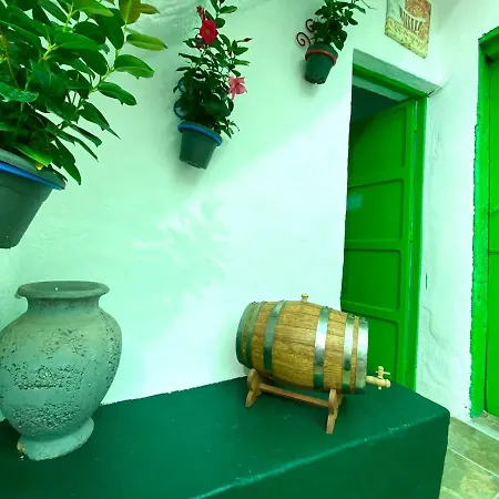 度假居 Casa Canaria El Terraje *